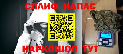 jwh Бийск