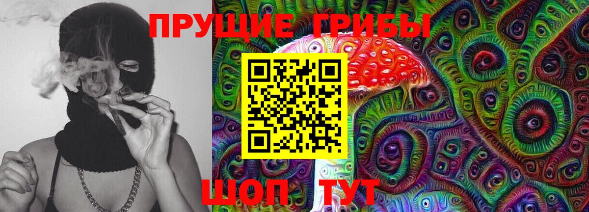 Кашира  Галлюциногенные грибы Psilocybe  Вход с VPN 