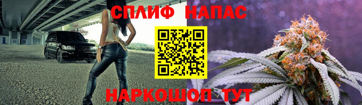 Каннабис планчик  Марихуана семена  Вход с VPN  Кашира 